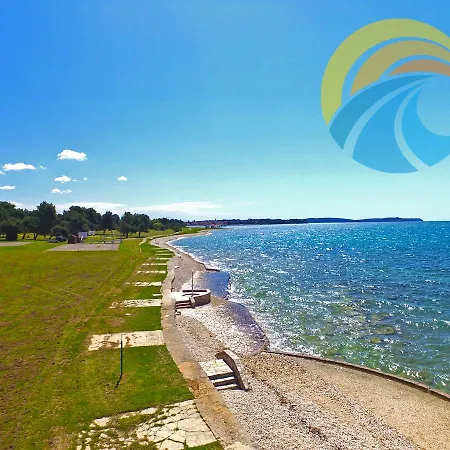 Tanja 349 * 페로이