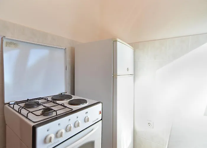 Tanja 349 * 페로이