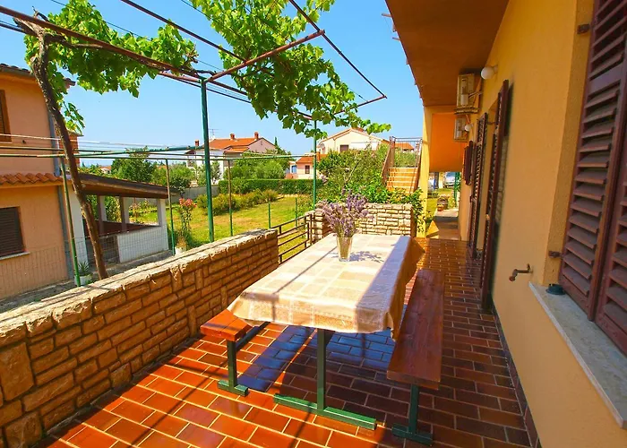 Tanja 349 * 페로이