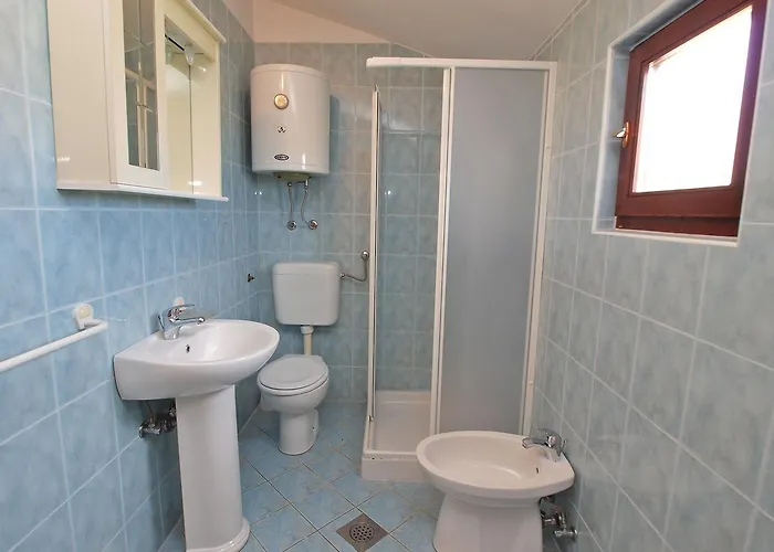 Tanja 349 * 페로이